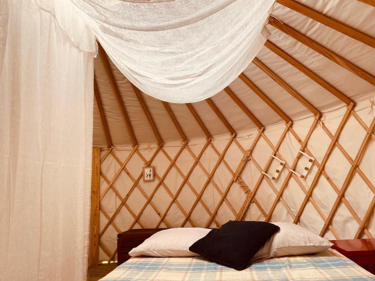 Yourte Et Son Bain Nordique Frechet-Aure Exterior foto